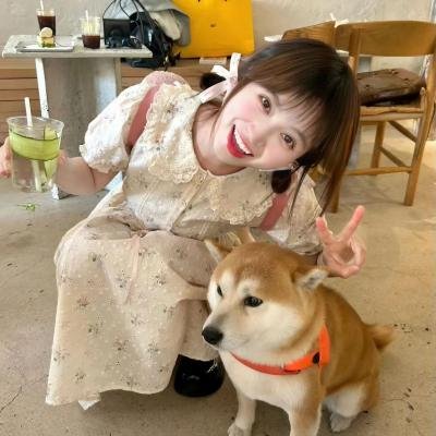 狙魔女杰 第四季